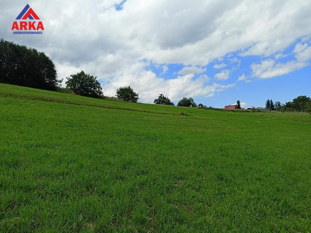 Widokowa działka pod zabudowę zagrodową - Widok 5