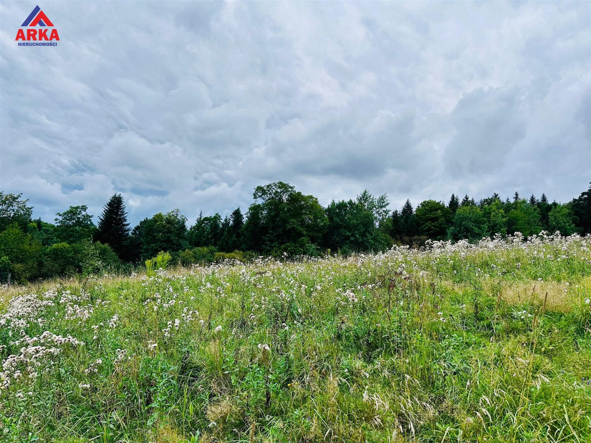 Działka budowlana przy lesie - Widok 5