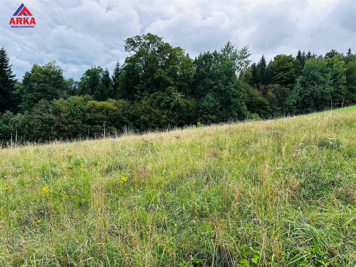 Działka budowlana przy lesie - Widok 4