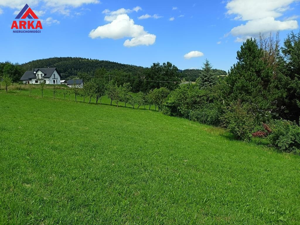 Widokowa działka pod zabudowę zagrodową - Widok 2