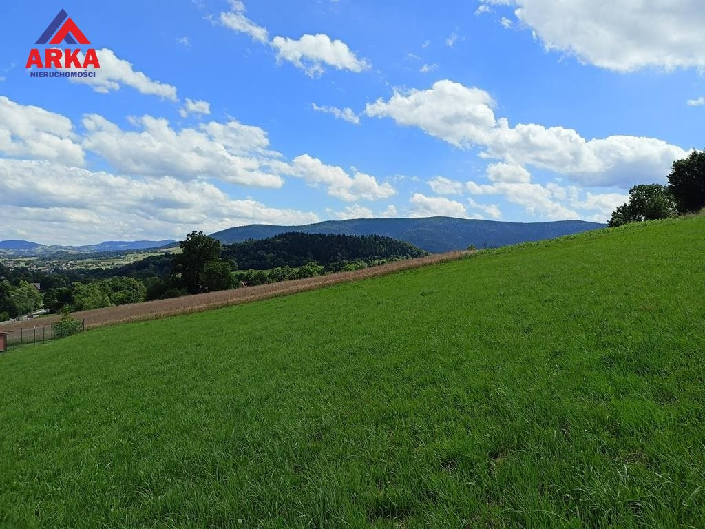 Widokowa działka pod zabudowę zagrodową - Widok 4