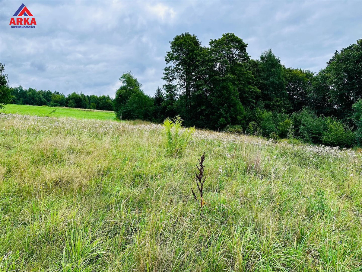 Działka budowlana przy lesie - Widok 3