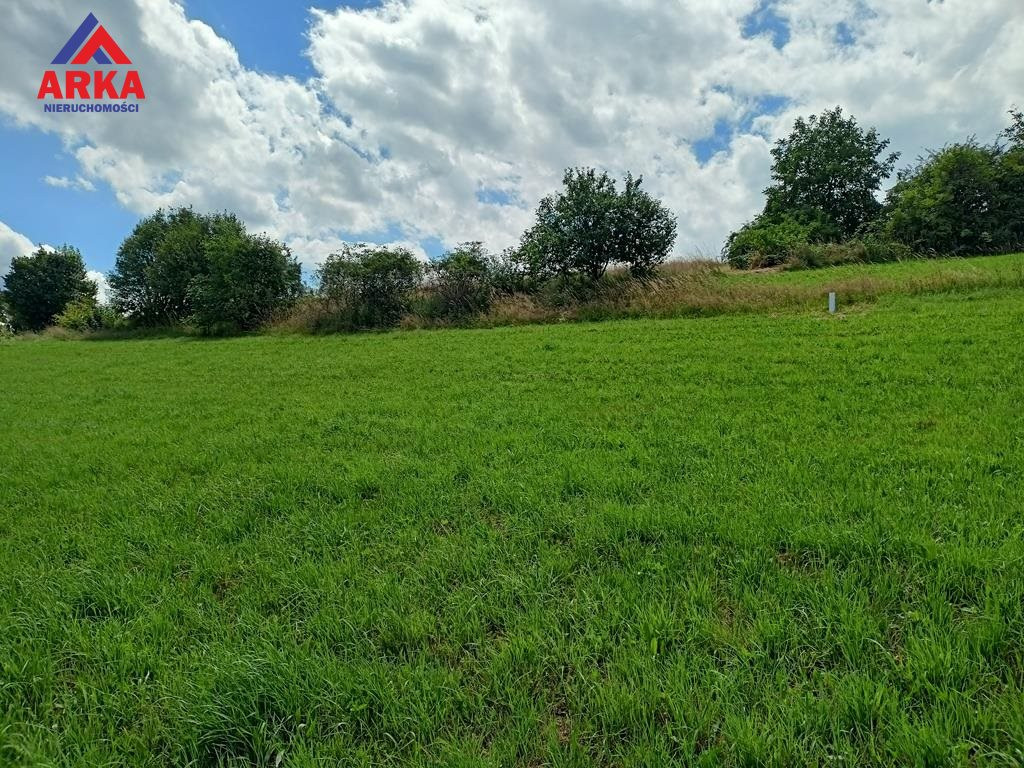 Widokowa działka pod zabudowę zagrodową - Więcej