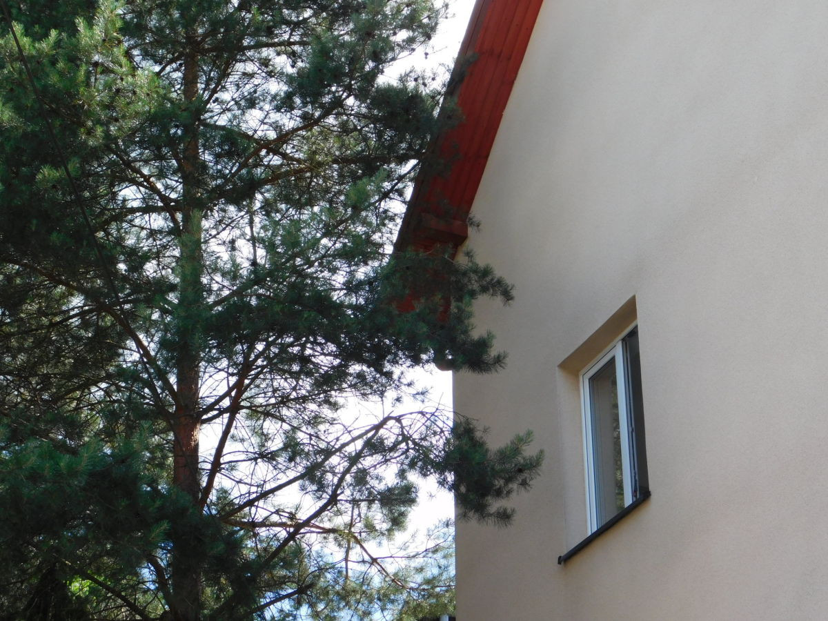 Shtëpi, 683 m², tokë 100 m²