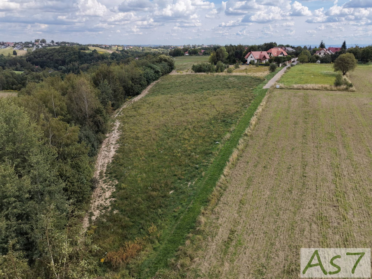 Działki przy lesie- magiczny Zelków - Widok 4