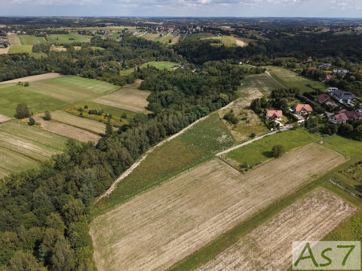 Działki przy lesie- magiczny Zelków - Widok 5