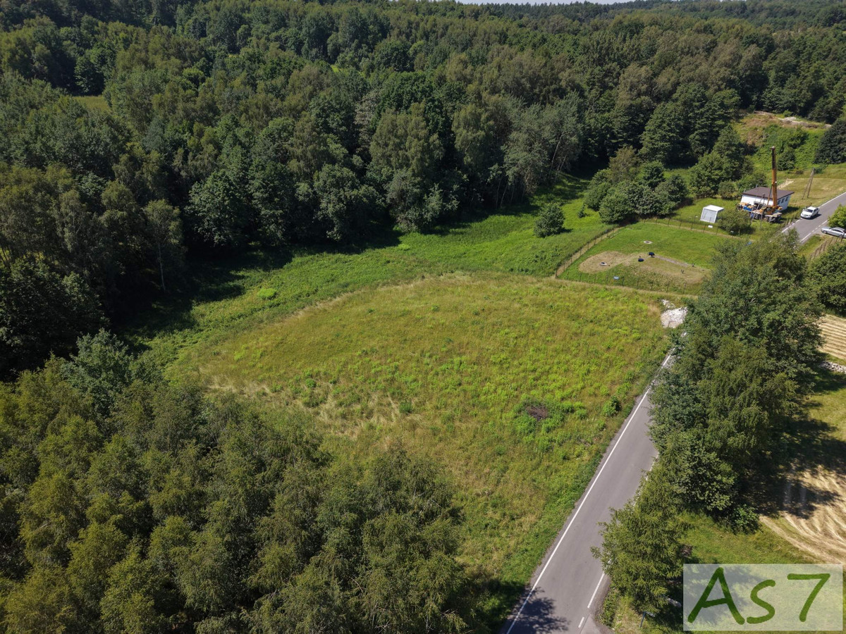 gratka-497 - Widok 5