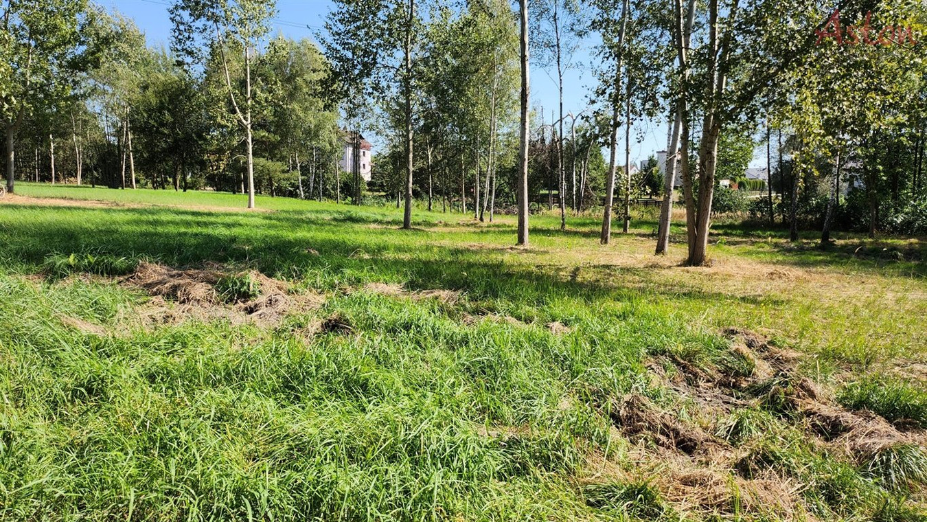 Piękna, kształtna działka, Mysłowice Stara Wesoła - Widok 2