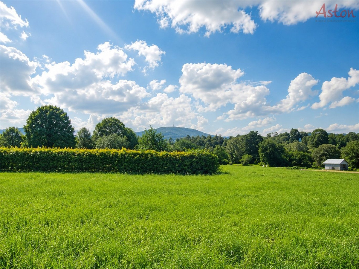Działka budowlana 2760 m² - Lipowa - Widok 2