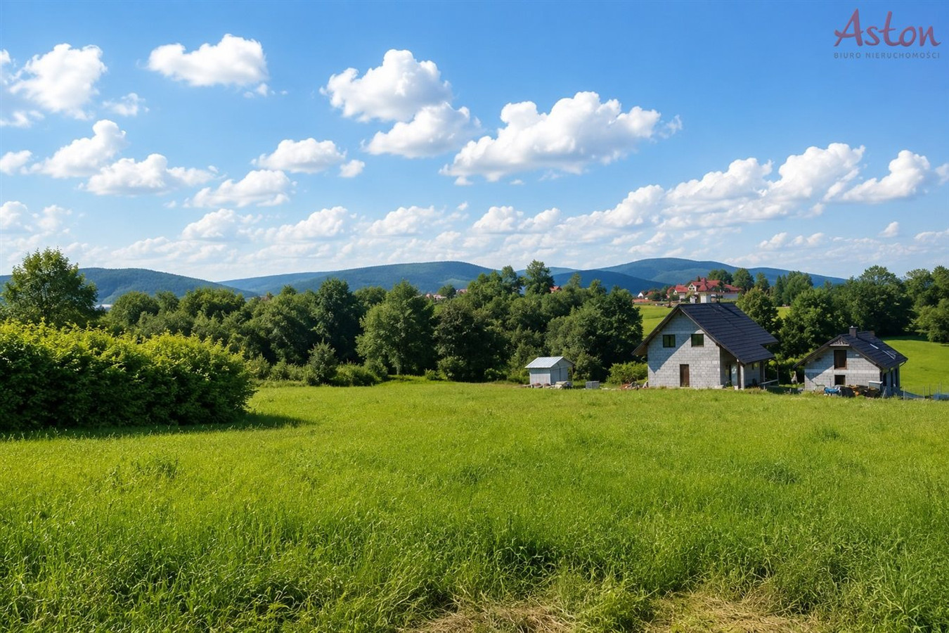 Działka budowlana 2760 m² - Lipowa - Widok 3