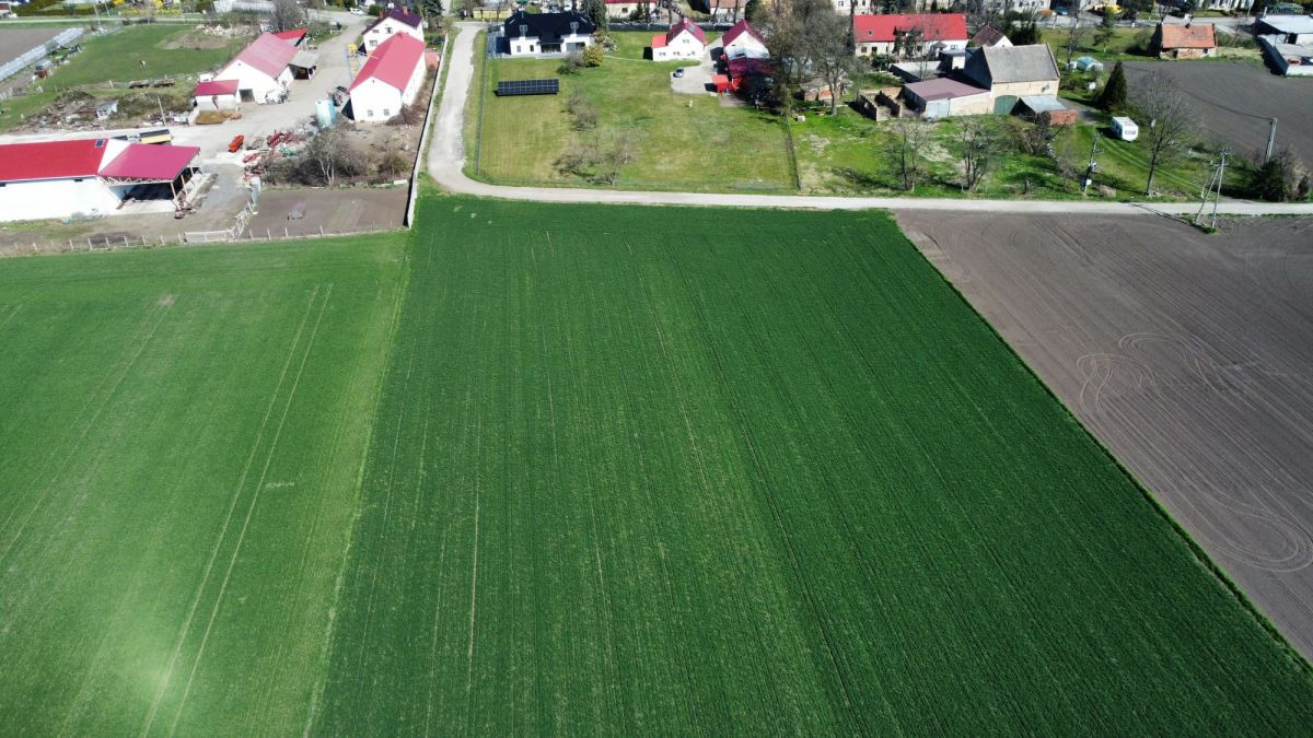 Działka budowlana Turów 913 m² gm. Żórawina - Widok 4