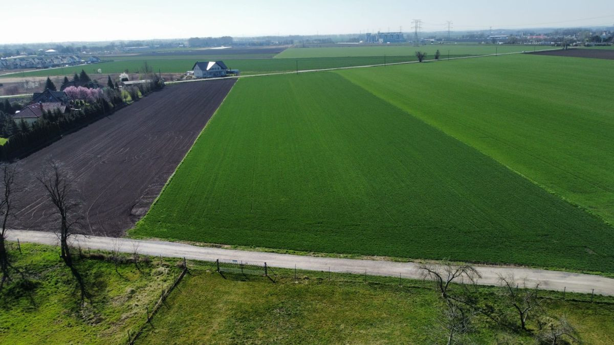 Działka budowlana Turów 913 m² gm. Żórawina - Widok 5
