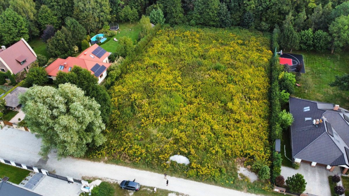 Działka budowlana przy lesie - Widok 4