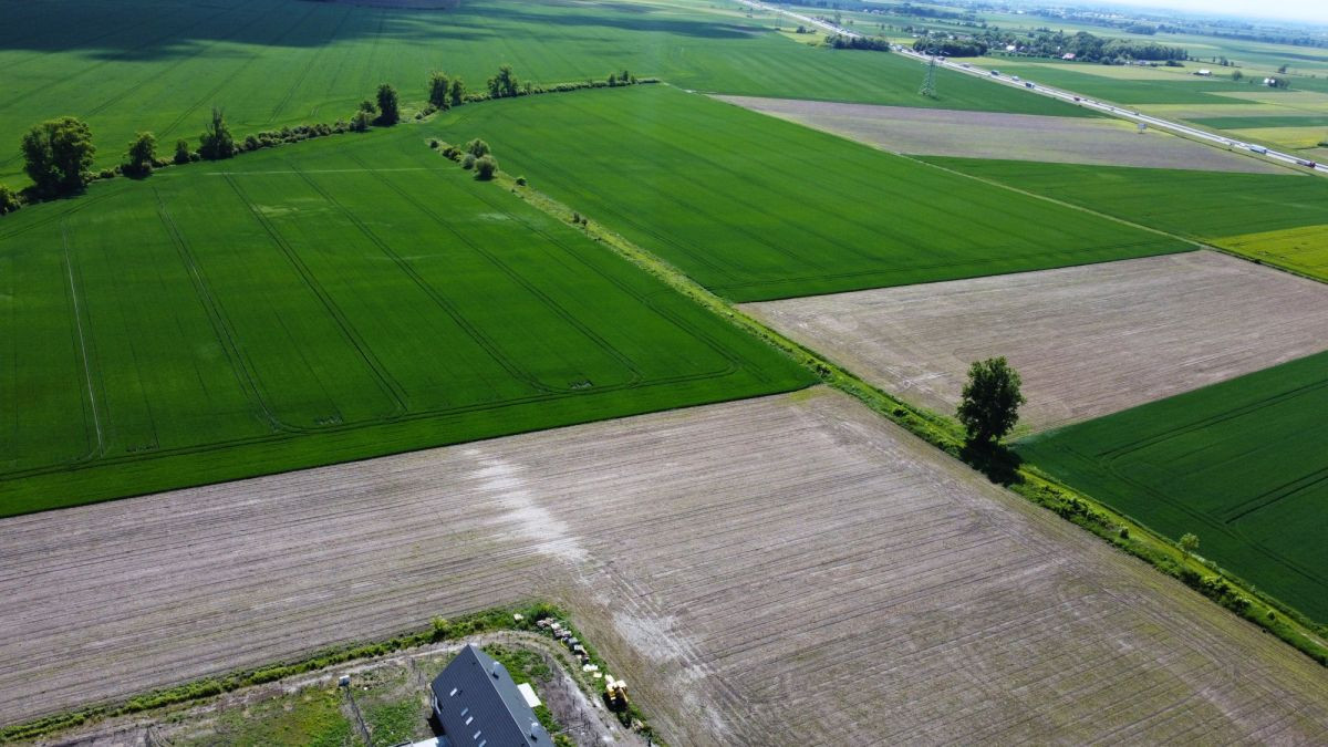działki 10ar na bliźniaki Wilkowice gm. Żórawina - Widok 3