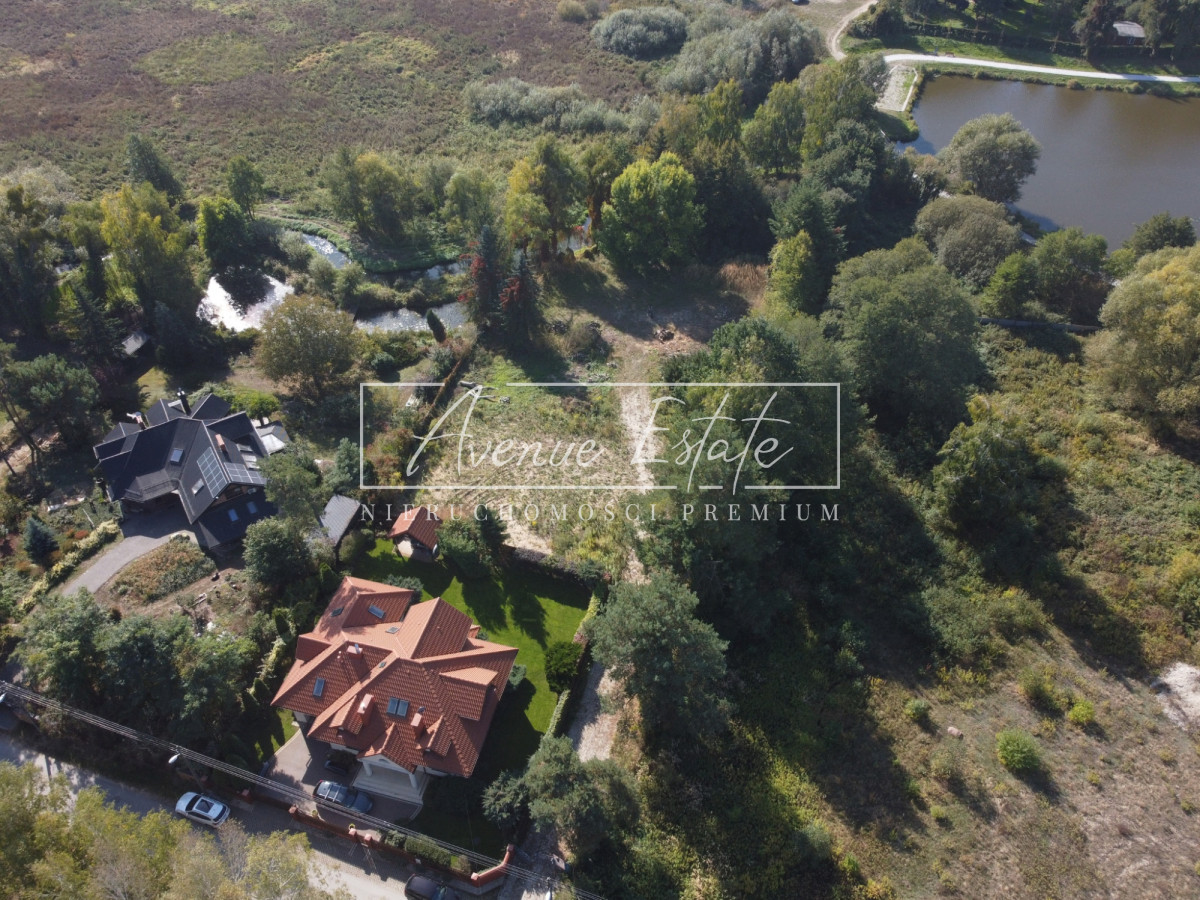 Linia Brzegowa / Starodrzew / Willowa Okolica - Widok 3