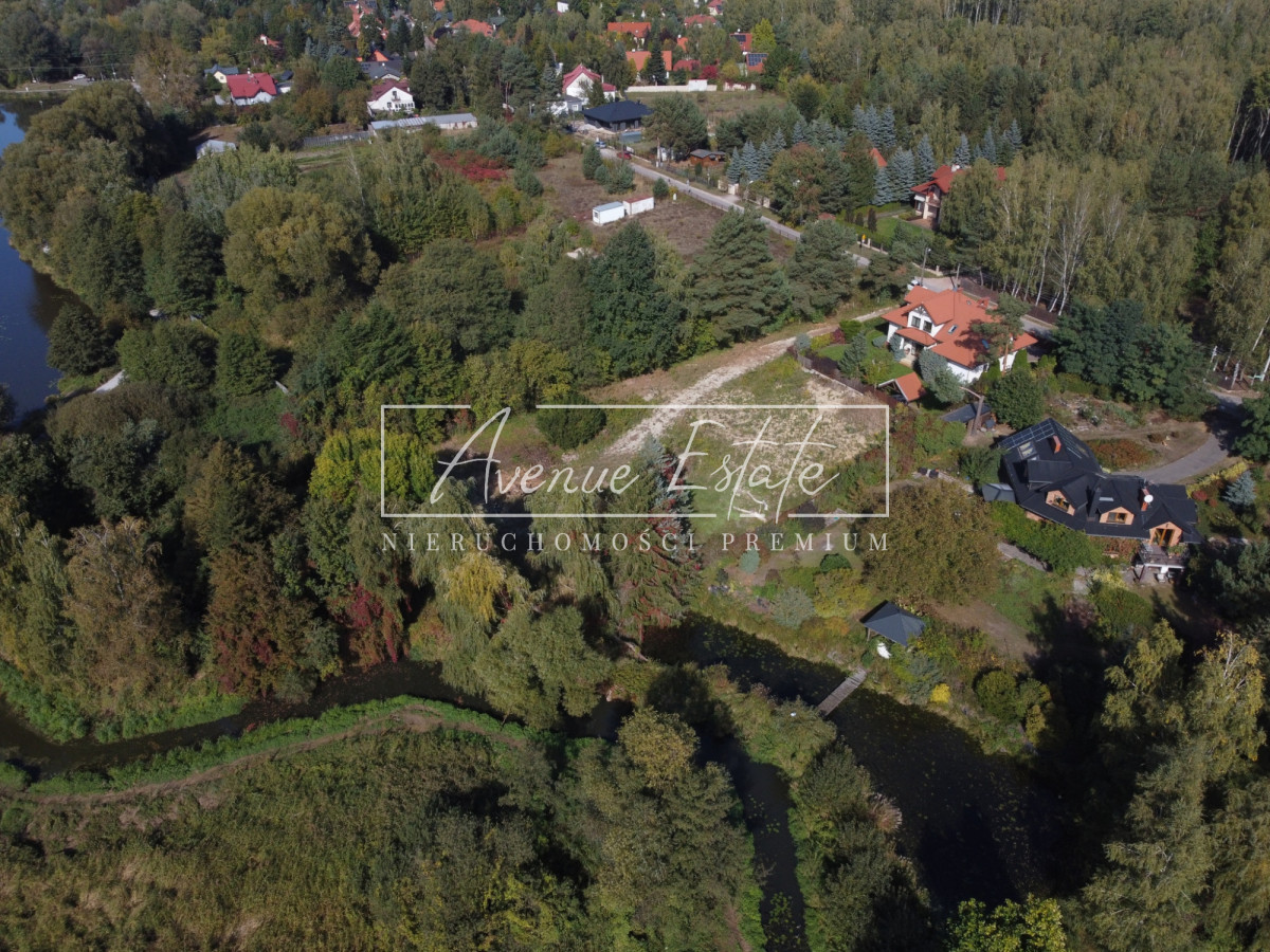 Linia Brzegowa / Starodrzew / Willowa Okolica - Widok 6