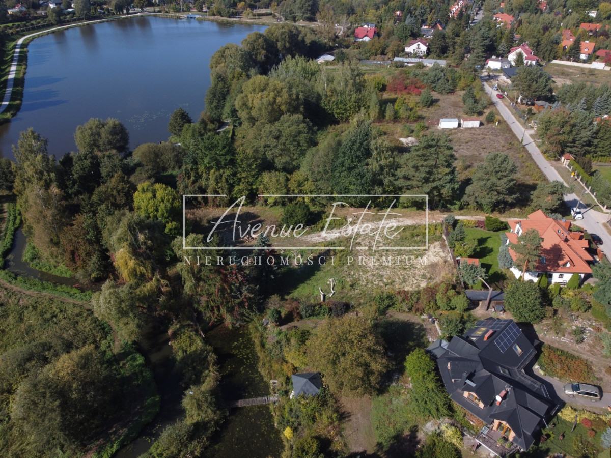 Linia Brzegowa / Starodrzew / Willowa Okolica - Widok 4
