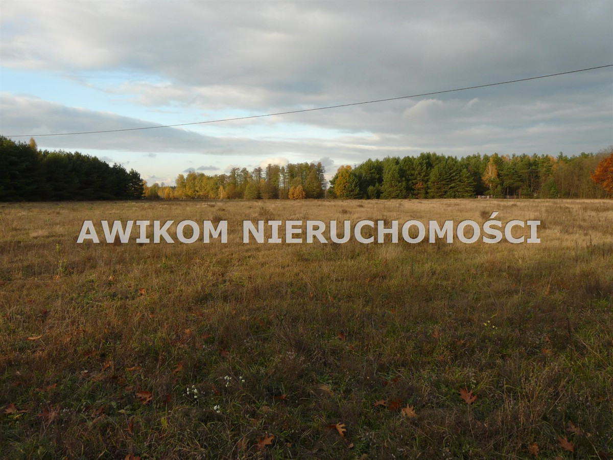 gratka-AKM-GS-54947-120 - Więcej