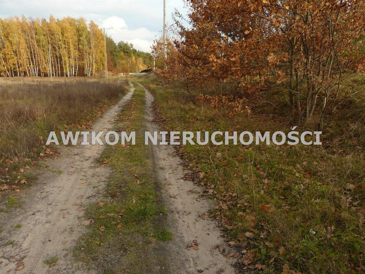 gratka-AKM-GS-54947-120 - Widok 5
