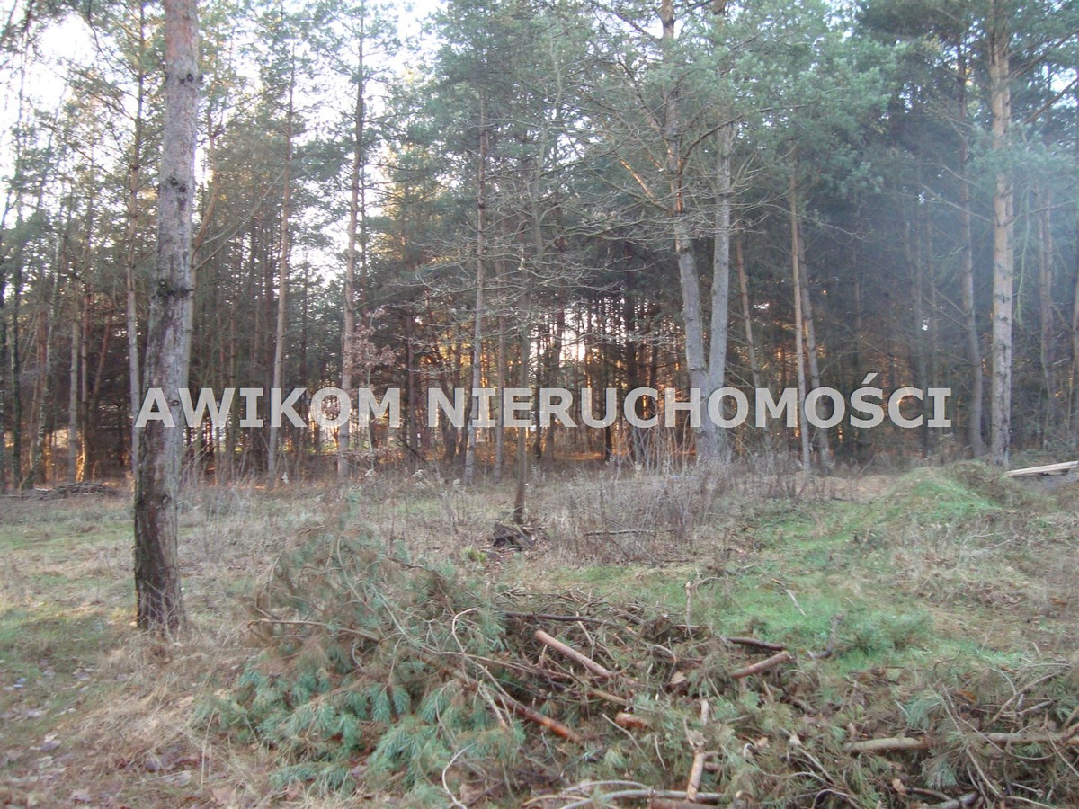 gratka-AKM-GS-55625-9 - Widok 2