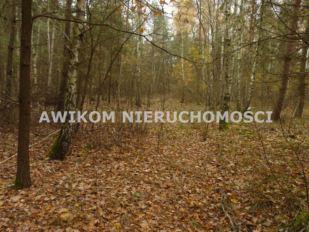 gratka-AKM-GS-48009-216 - Widok 4
