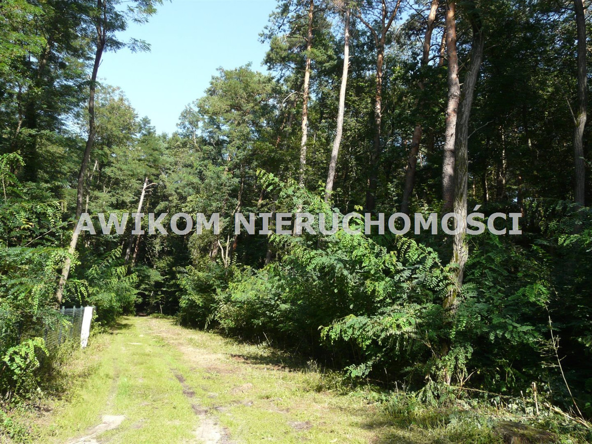 gratka-AKM-GS-54439-177 - Widok 2