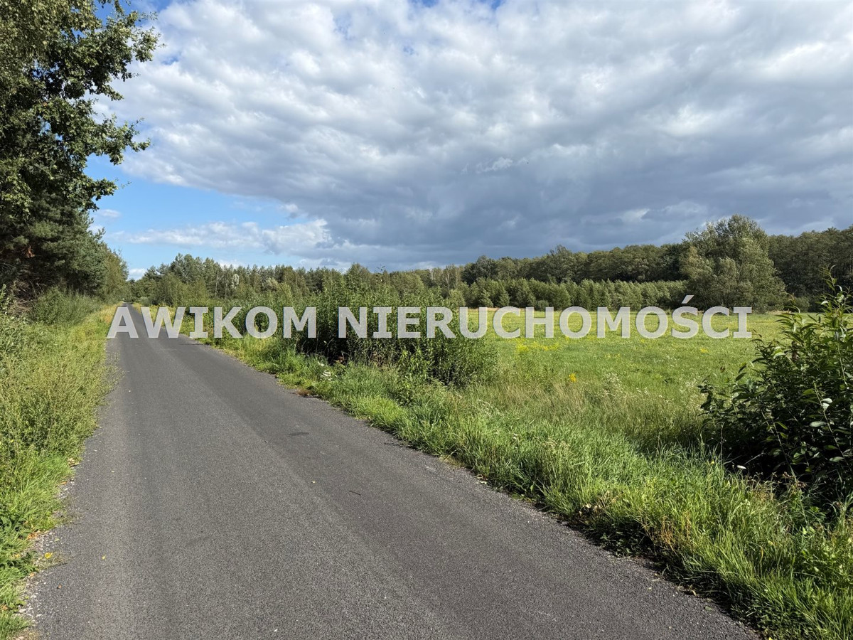 gratka-AKM-GS-55628 - Widok 4