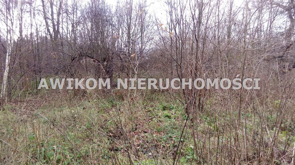 Działka, 3000 m²
