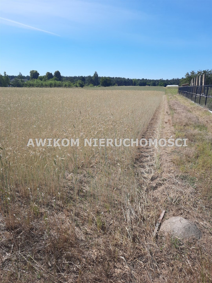 gratka-AKM-GS-55597-4 - Widok 4