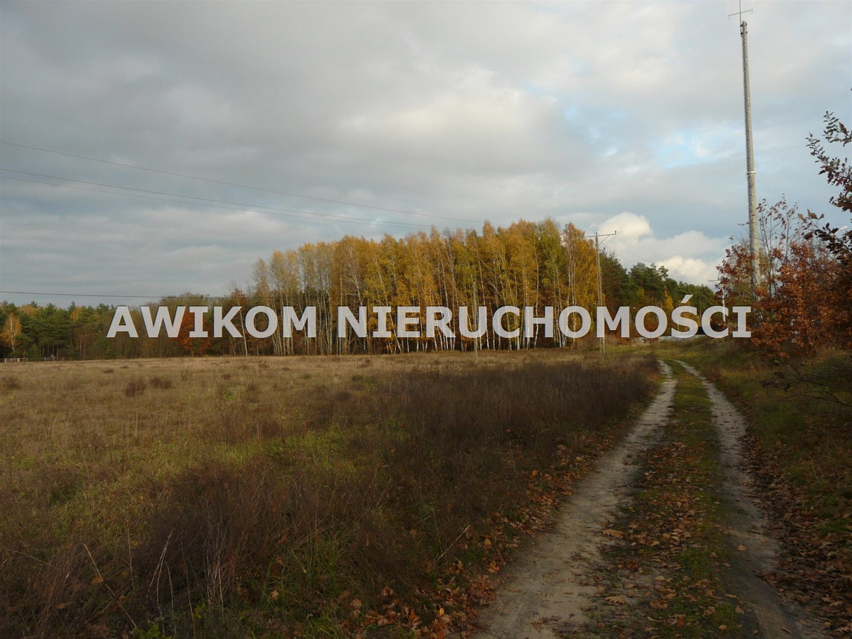 gratka-AKM-GS-54947-120 - Widok 6