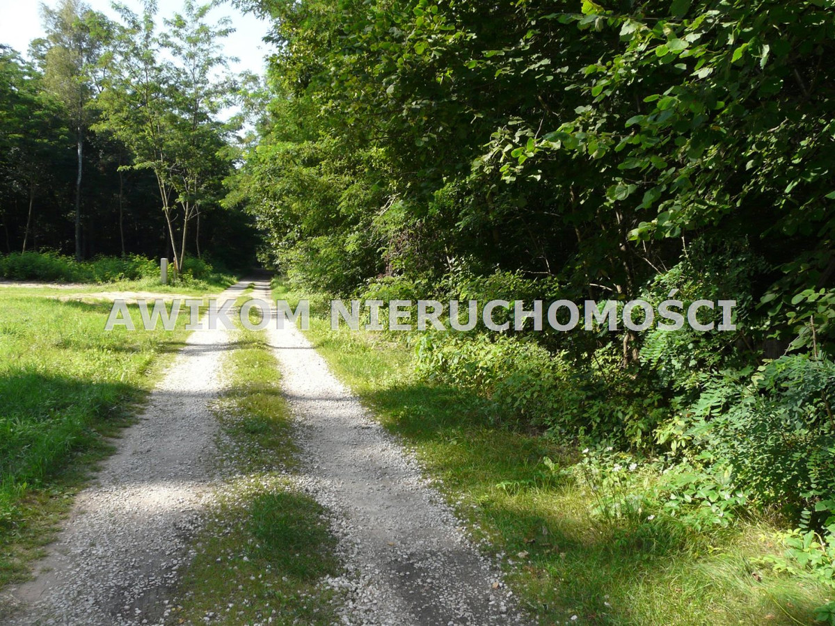 gratka-AKM-GS-54439-177 - Widok 3