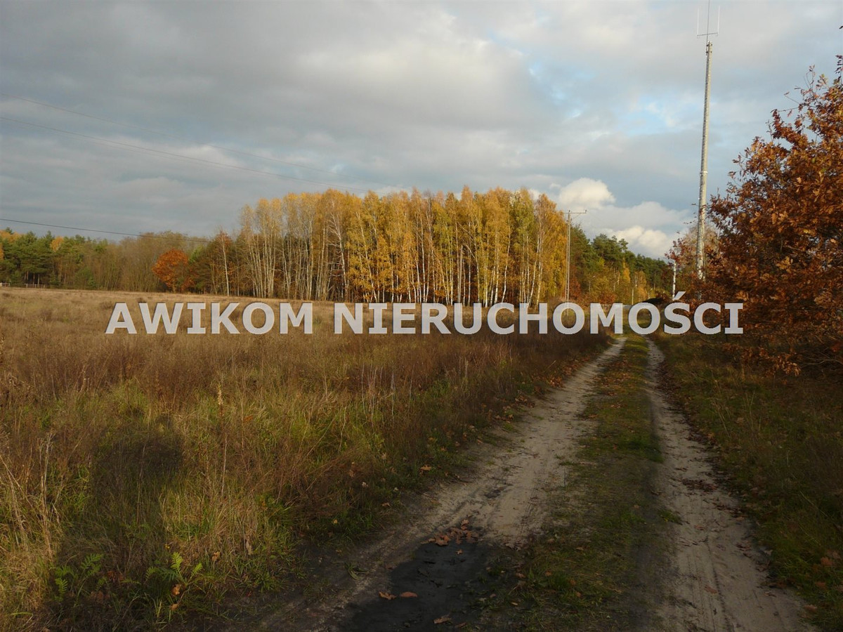 gratka-AKM-GS-54947-120 - Widok 3