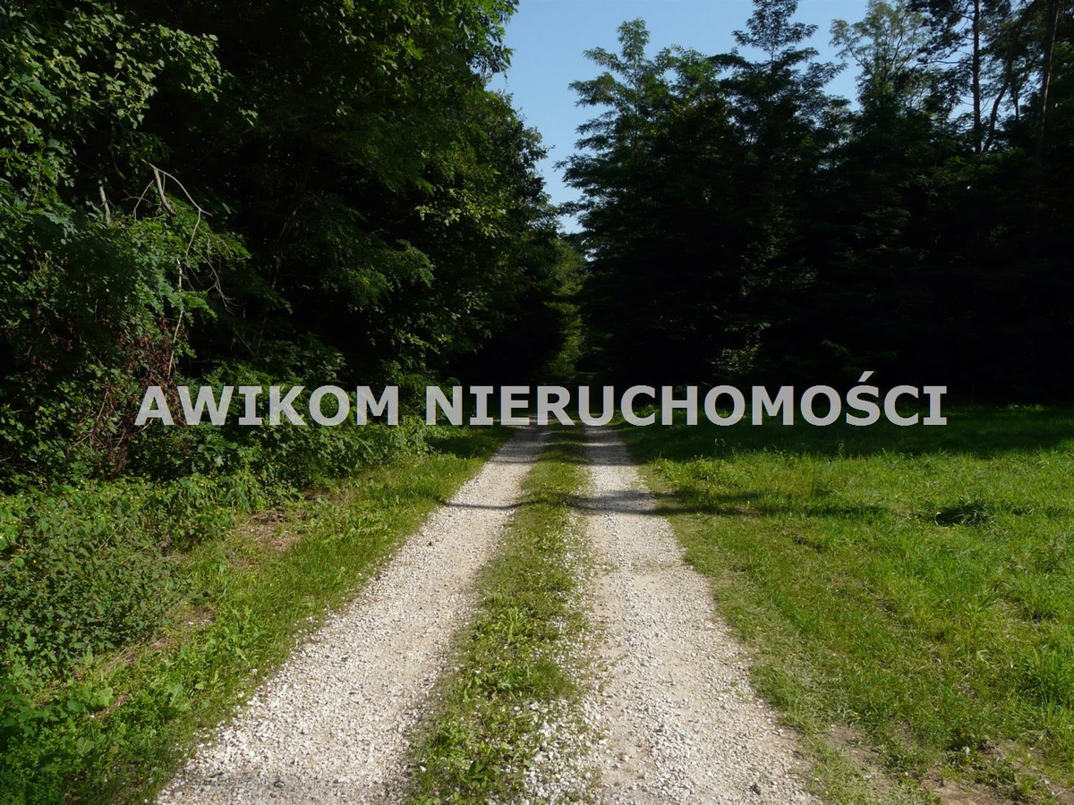 gratka-AKM-GS-54439-177 - Widok 5