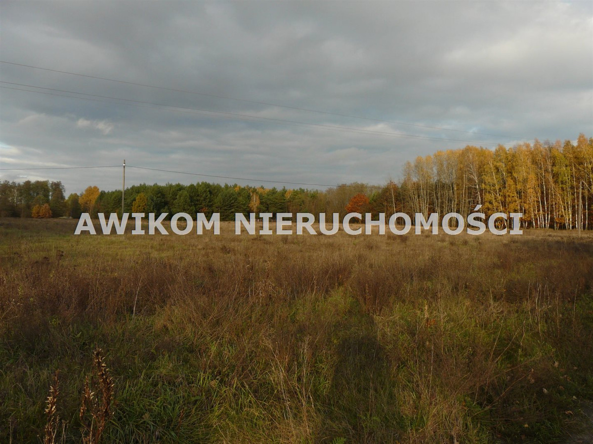 gratka-AKM-GS-54947-120 - Widok 4