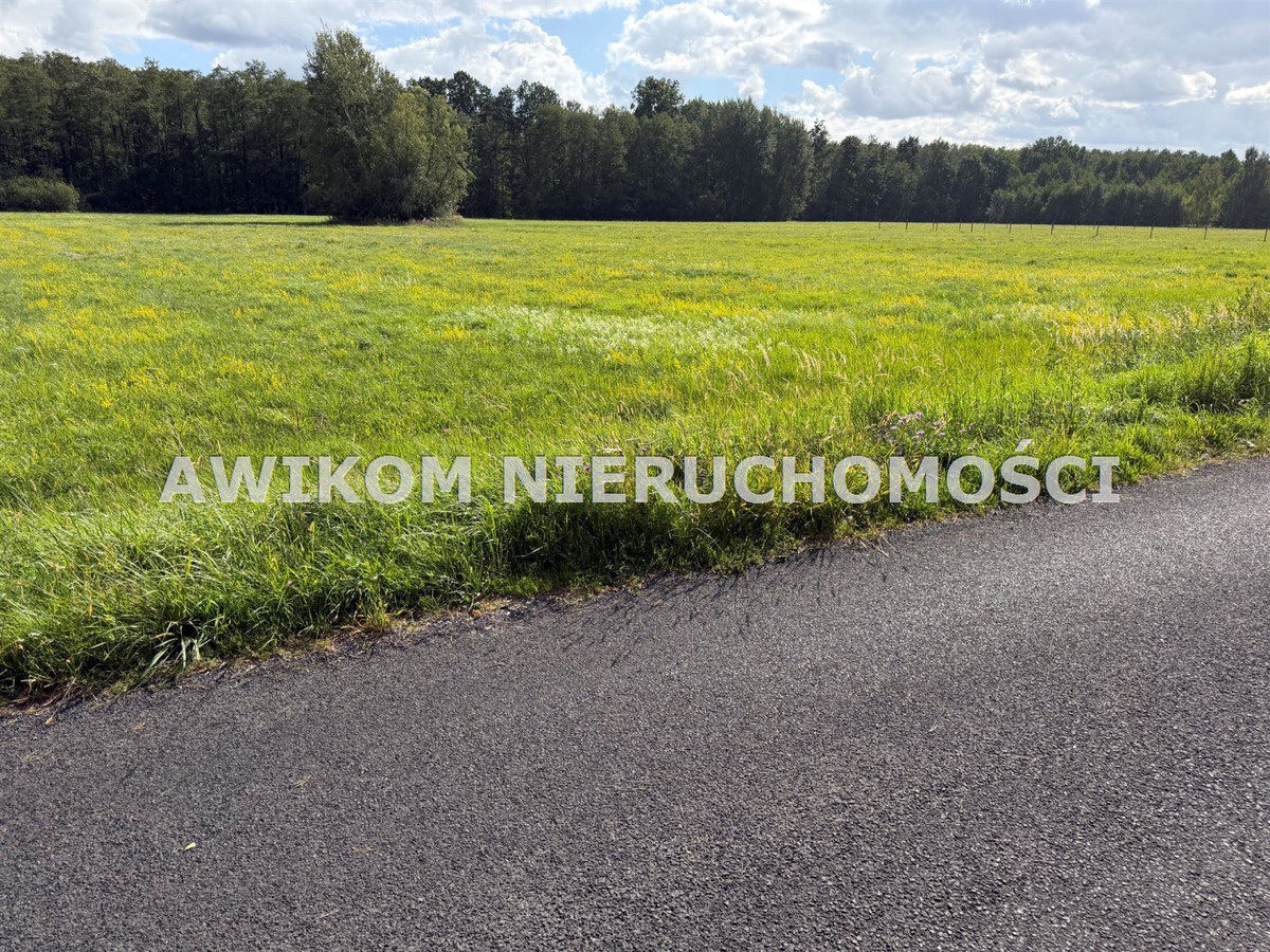 gratka-AKM-GS-55628 - Widok 3