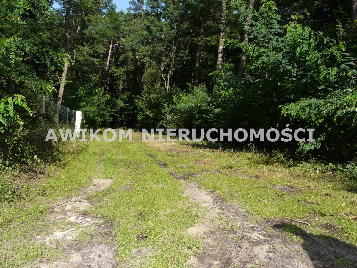 gratka-AKM-GS-54439-177 - Więcej