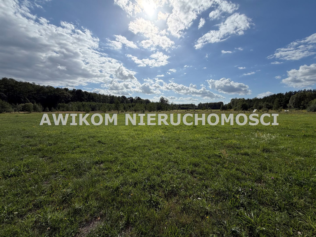 gratka-AKM-GS-55628 - Widok 5
