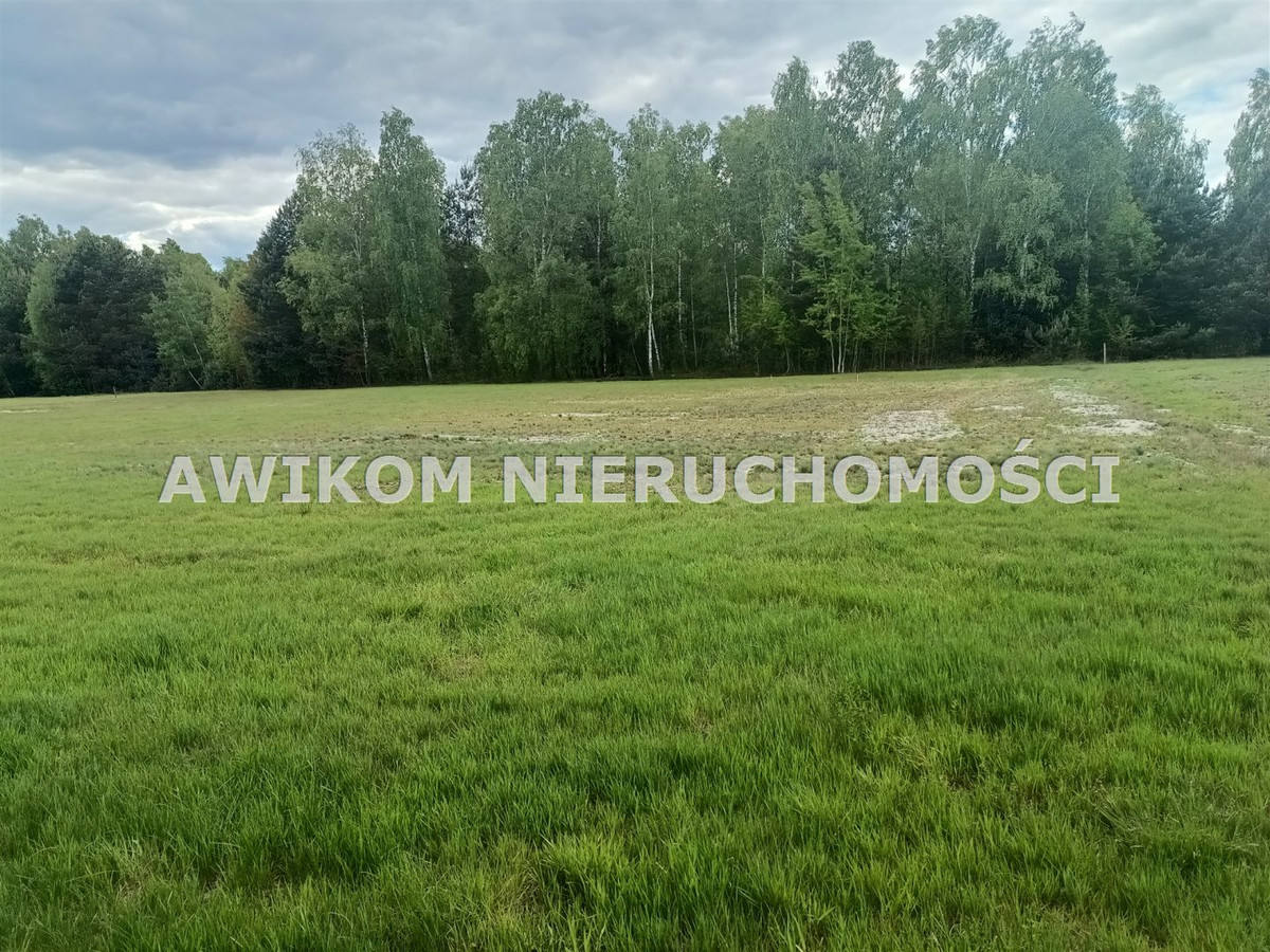 gratka-AKS-GS-55420-4 - Widok 2