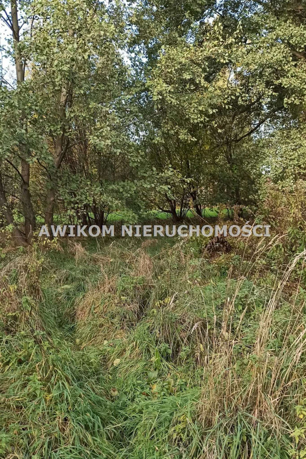 gratka-AKM-GS-54924 - Widok 3