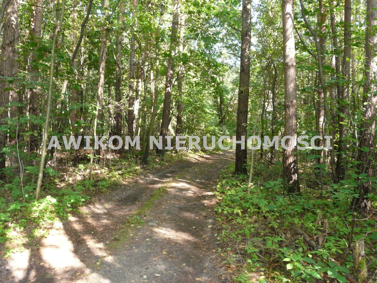 gratka-AKM-GS-54439-177 - Widok 6