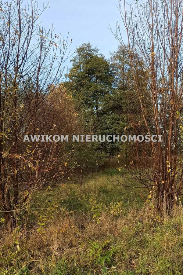 gratka-AKM-GS-54924 - Więcej
