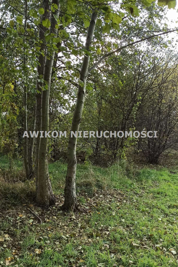 gratka-AKM-GS-54924 - Widok 2