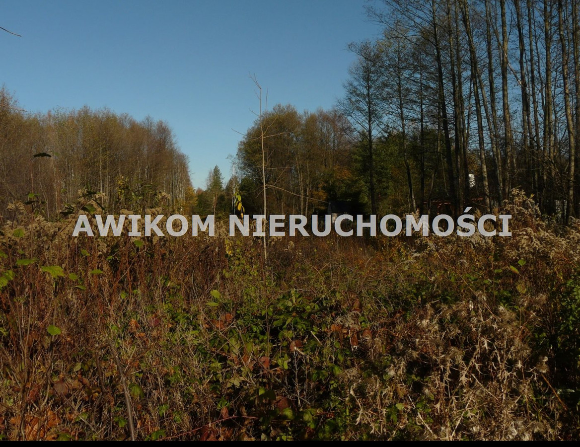 gratka-AKM-GS-55507-32 - Widok 5