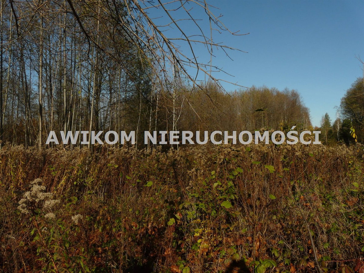 gratka-AKM-GS-55507-32 - Więcej
