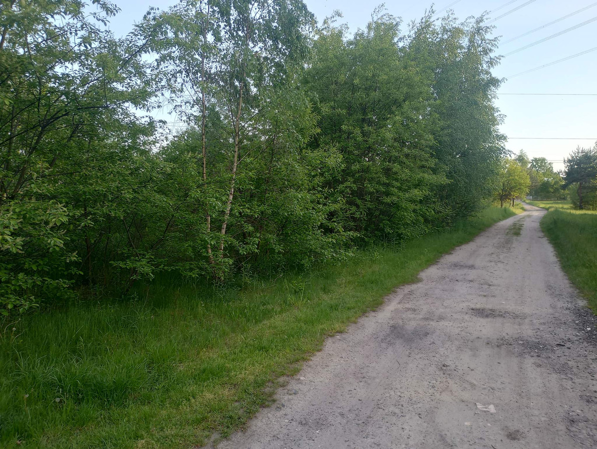 Malutki pokój biurowy - Widok 2