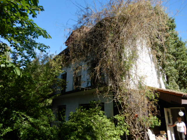 Syndyk sprzeda działkę zabudowaną domem i inną zabudową