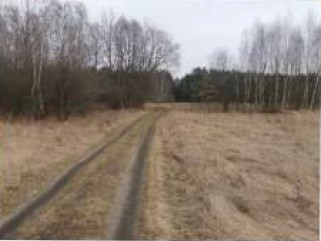 Syndyk sprzeda udział w 1/2 kopleksu działek - Widok 3