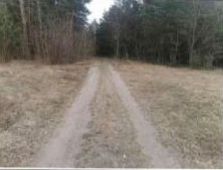 Syndyk sprzeda udział w 1/2 kopleksu działek - Widok 2