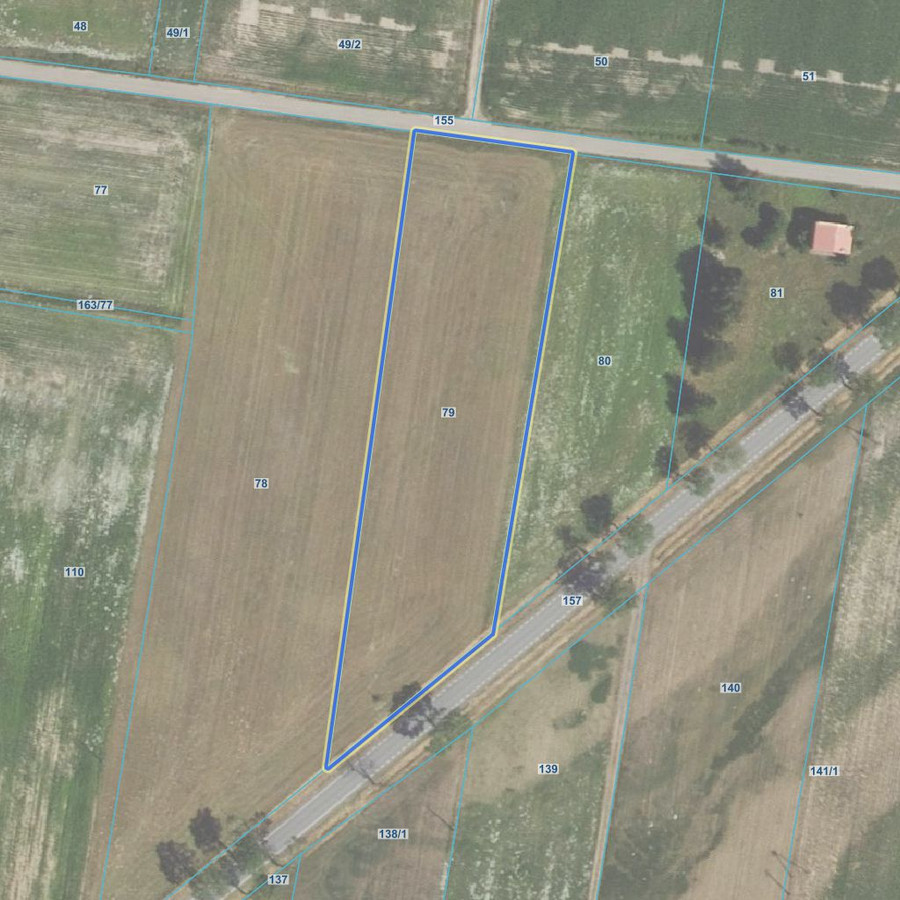 Syndyk sprzeda siedlisko z działkami rolnymi i trzema stawami - Widok 3