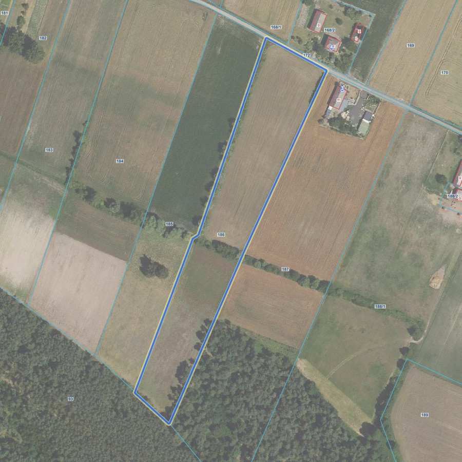 Syndyk sprzeda siedlisko z działkami rolnymi i trzema stawami - Więcej